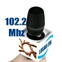 Lubao FM