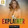 The Explainer