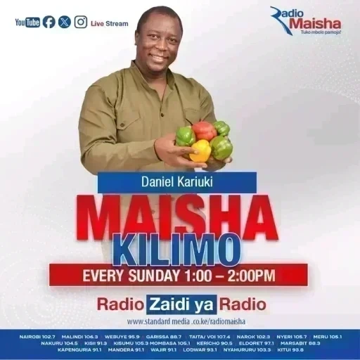 Maisha Kilimo