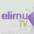Elimu TV