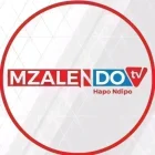 Mzalendo TV